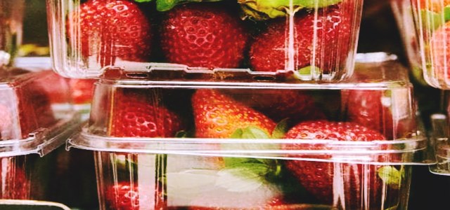 Australia faces strawberry safety scare, Woolworths halts needle sales