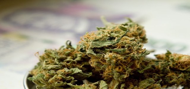 Enlighten secures $6.5m for expanding cannabis technology portfolio
