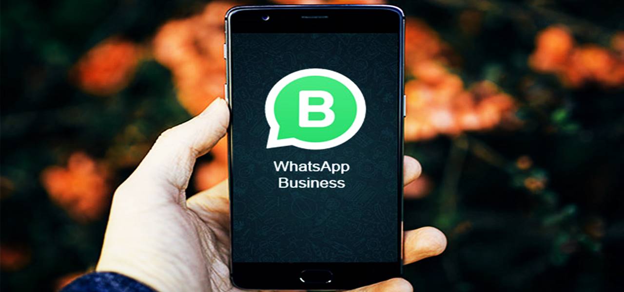 WhatsApp rolls out its business app for android in select nations